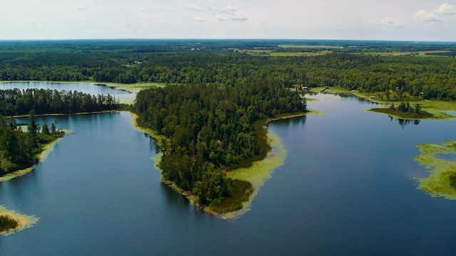 8329 Stump Lake Dr NE, Bemidji MN, 56601 land for sale