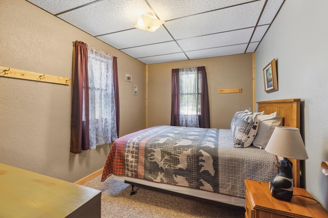 1378 Larrup Trl SW, Pine River, MN 56474 - bedroom with a drop ceiling and carpet