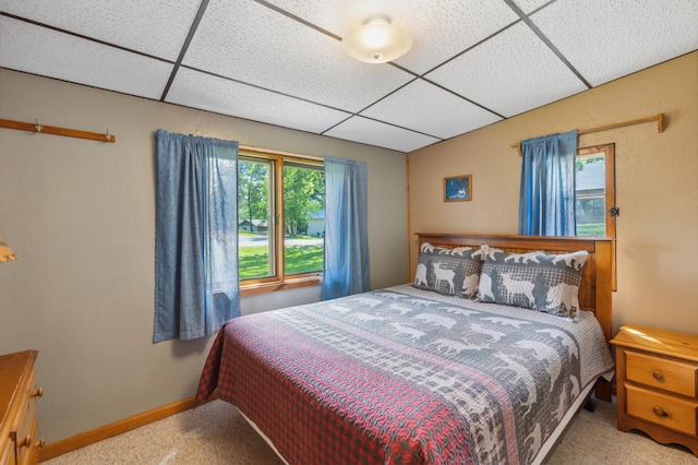 1378 Larrup Trl SW, Pine River, MN 56474 - bedroom featuring carpet floors, a drop ceiling, and baseboards