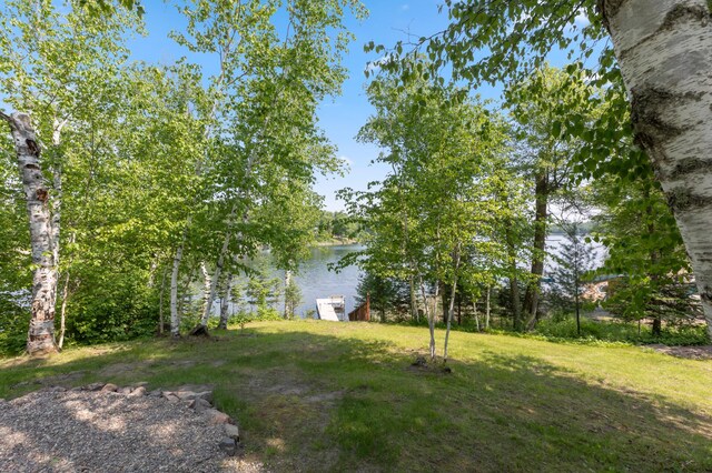 1378 Larrup Trl SW, Pine River, MN 56474 - view of grassy yard featuring a water view