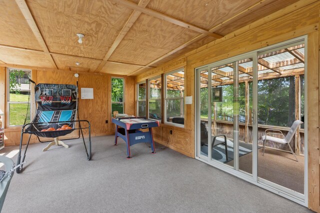 1378 Larrup Trl SW, Pine River, MN 56474 - sunroom featuring wood walls and carpet flooring