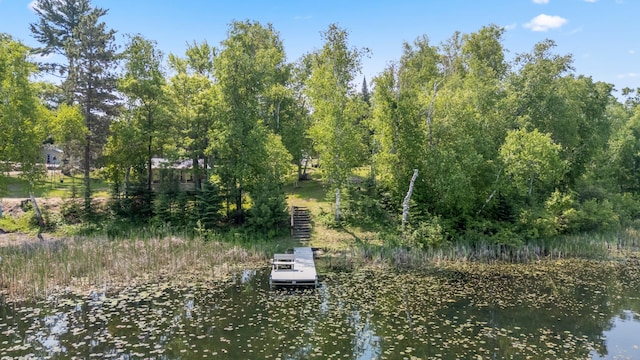 1378 Larrup Trl SW, Pine River, MN 56474 - water view with a dock