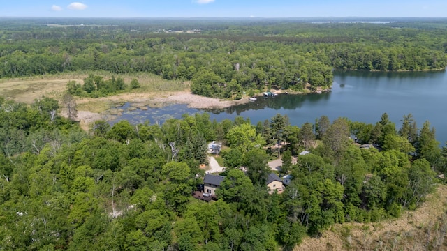 1378 Larrup Trl SW, Pine River, MN 56474 - view of property location featuring a forest and a nearby body of water