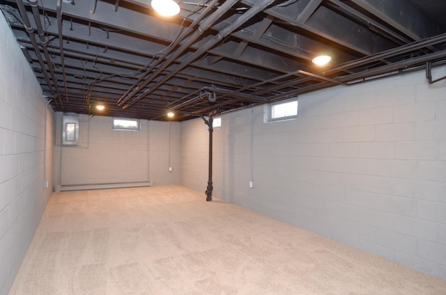 basement featuring carpet and electric panel