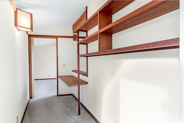 walk in closet featuring lofted ceiling and carpet