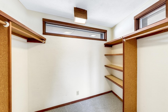 spacious closet featuring carpet