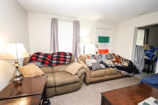 living room with light colored carpet