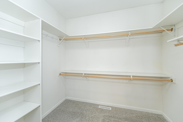 walk in closet featuring carpet