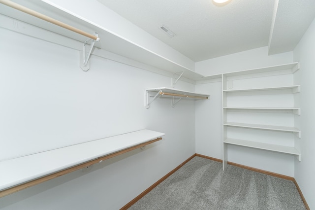 walk in closet with carpet flooring