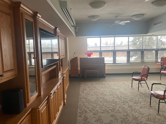 interior space with ceiling fan, plenty of natural light, and a textured ceiling