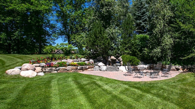 view of yard featuring a patio area