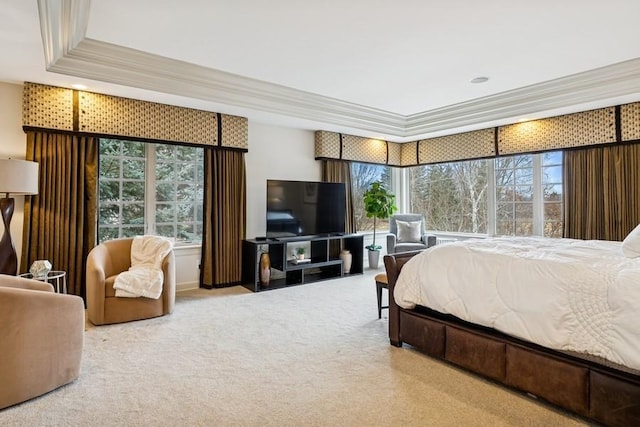 bedroom with carpet floors, a raised ceiling, and crown molding