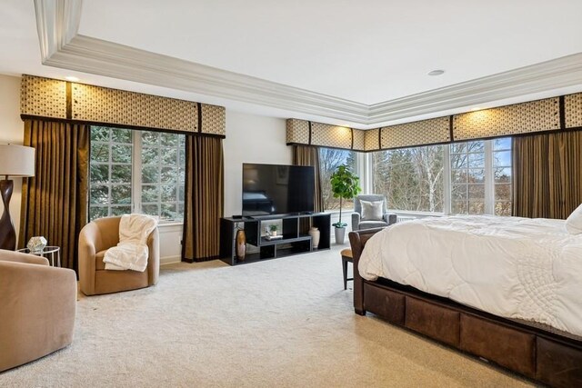 18313 Nicklaus Way, Eden Prairie, MN 55347 - carpeted bedroom featuring multiple windows, crown molding, and a tray ceiling