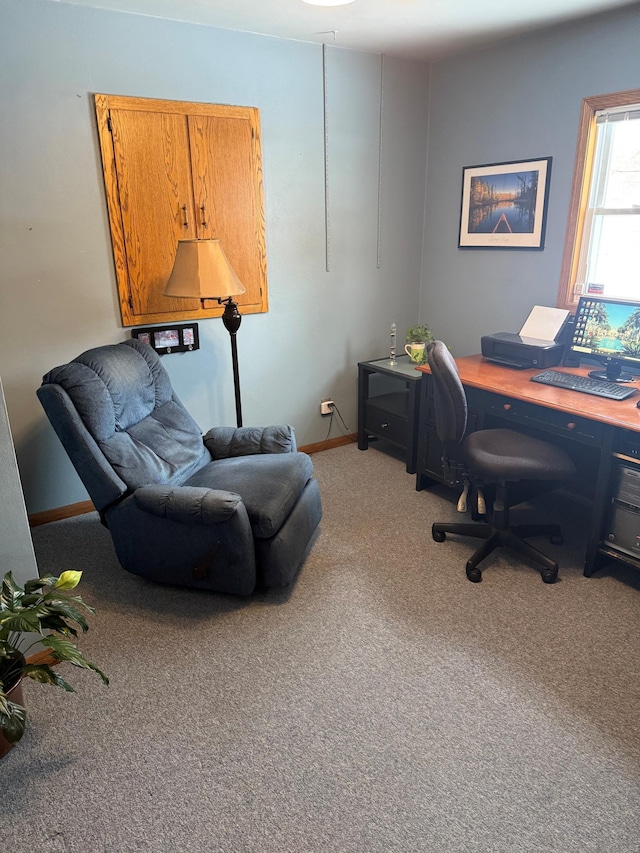 home office with carpet floors