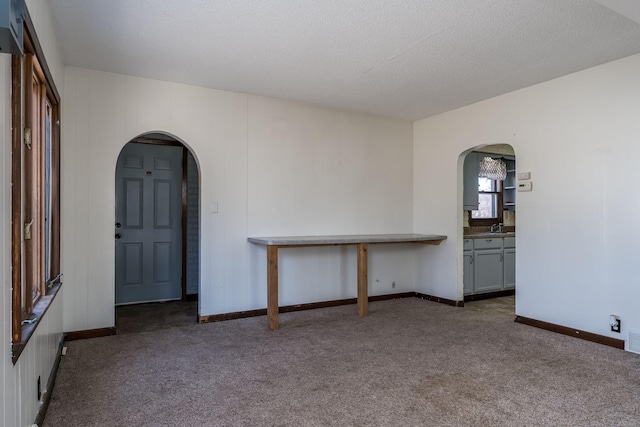 empty room featuring carpet flooring, sink, and a textured ceiling