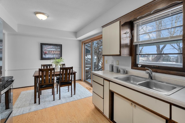 kitchen featuring light countertops, a sink, a wealth of natural light, and light wood-style floors