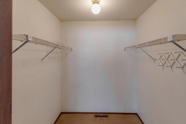 spacious closet with carpet flooring