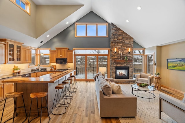 living room featuring plenty of natural light, a fireplace, and light hardwood / wood-style floors