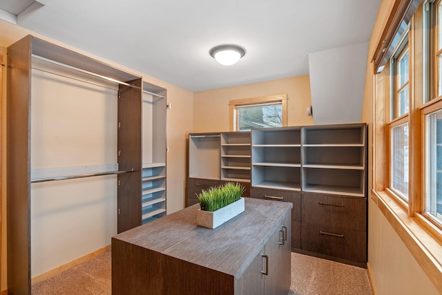 spacious closet with light colored carpet