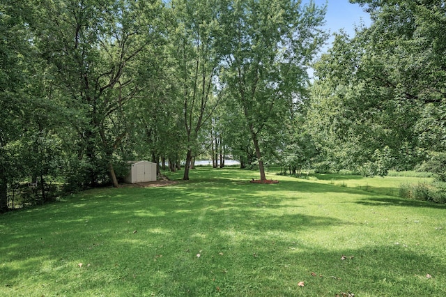 view of yard featuring a storage shed