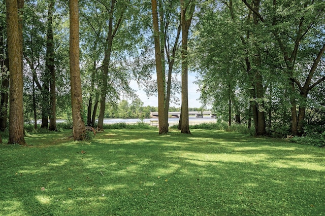 view of yard featuring a water view