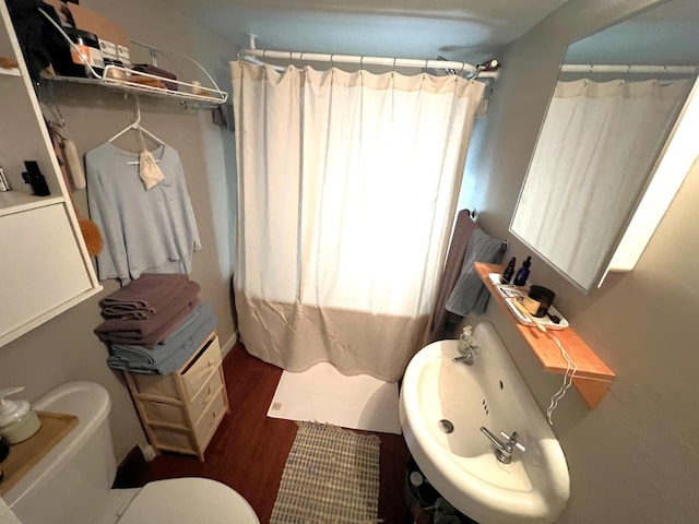 bathroom featuring wood-type flooring, sink, and a wealth of natural light