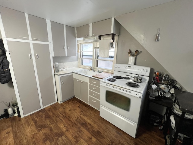 kitchen with stainless steel dishwasher, white electric range oven, dark hardwood / wood-style flooring, and sink