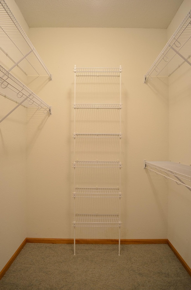 spacious closet with carpet floors