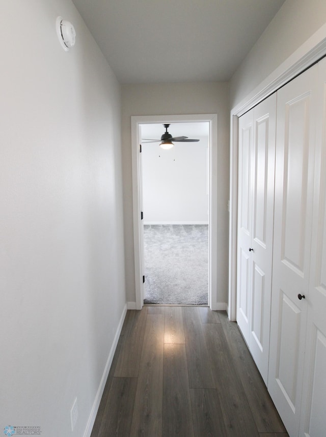 hall featuring dark hardwood / wood-style flooring