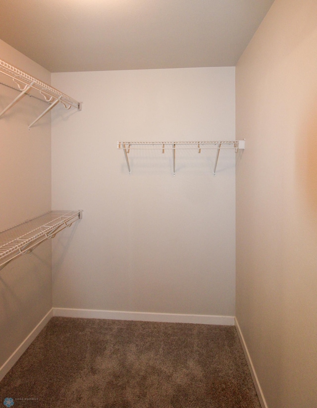 walk in closet featuring dark colored carpet