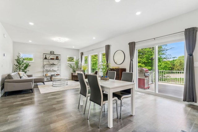 18338 Dove Ct, Eden Prairie, MN 55347 - dining room with hardwood / wood-style flooring and a wealth of natural light