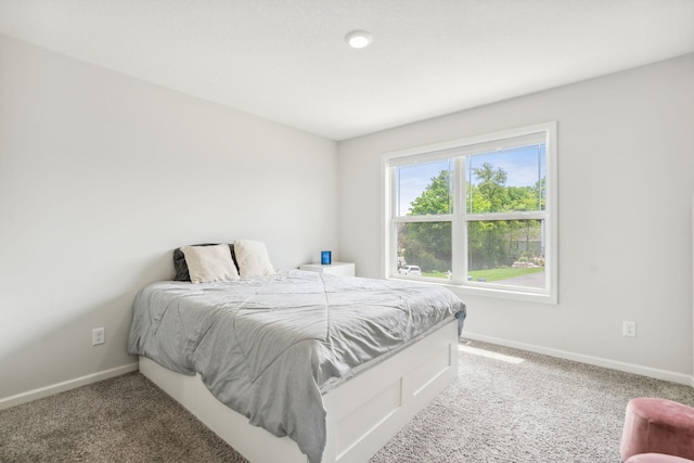 18338 Dove Ct, Eden Prairie, MN 55347 - bedroom with carpet