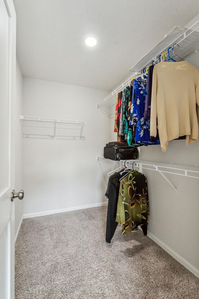 18338 Dove Ct, Eden Prairie, MN 55347 - walk in closet with carpet