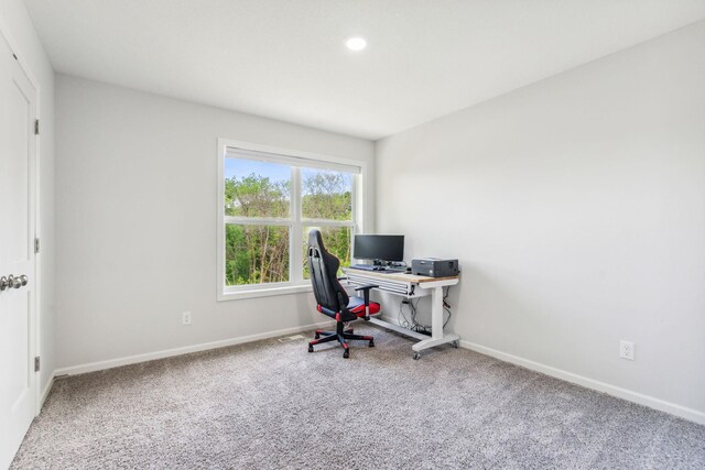 18338 Dove Ct, Eden Prairie, MN 55347 - view of carpeted home office