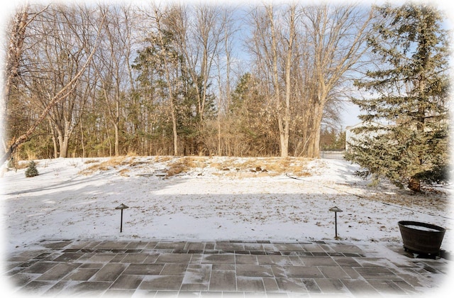 view of yard covered in snow