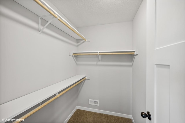 spacious closet featuring carpet floors