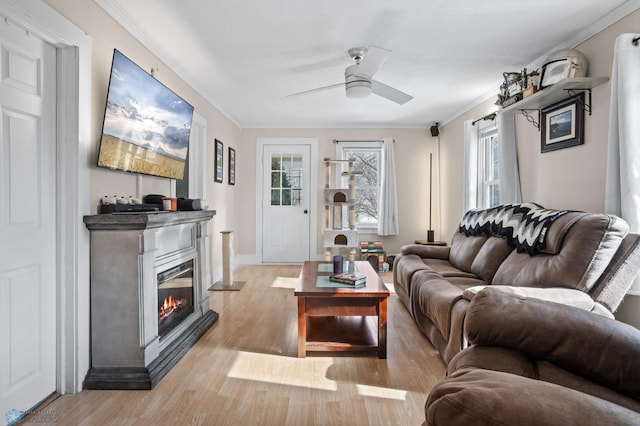 living room featuring light wood-style floors, a glass covered fireplace, crown molding, and ceiling fan