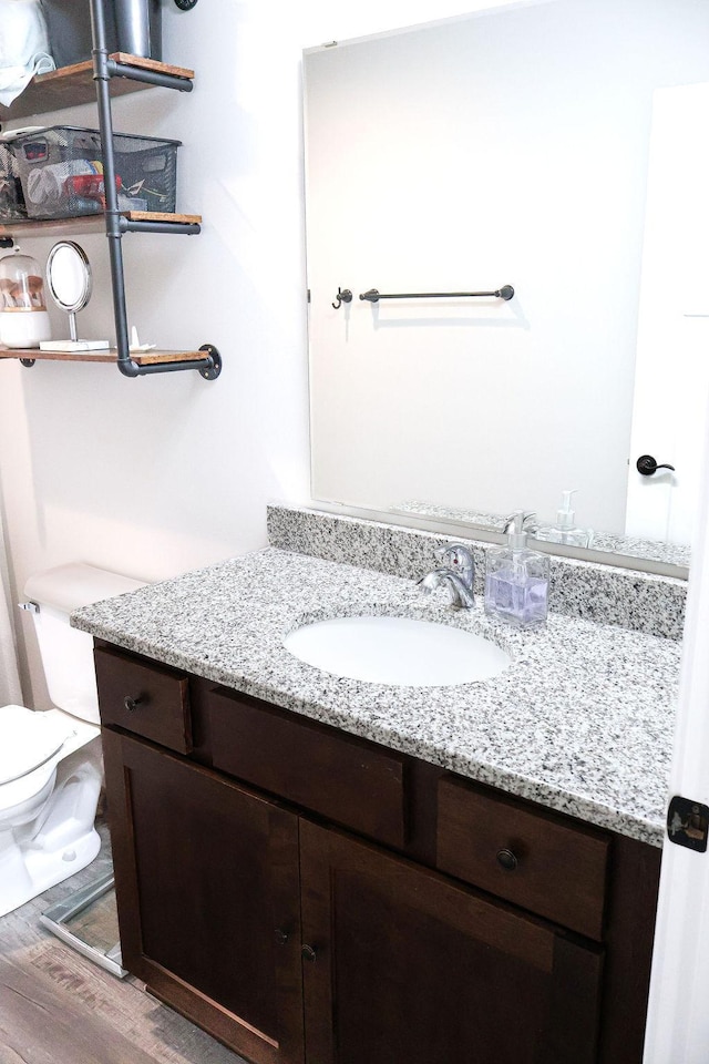 bathroom featuring vanity, hardwood / wood-style flooring, and toilet