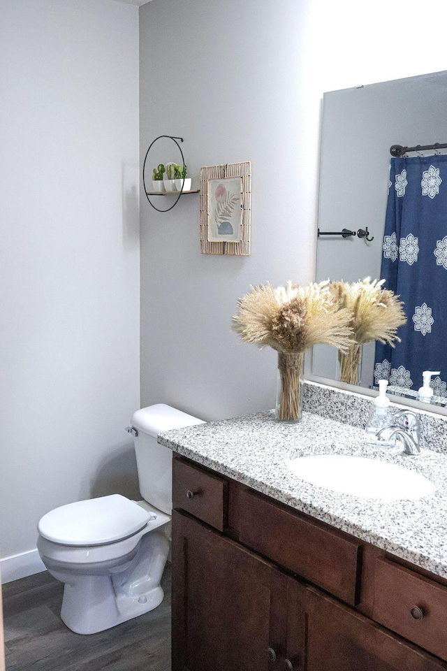 bathroom with vanity, wood-type flooring, and toilet