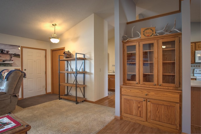 foyer featuring light wood-type flooring