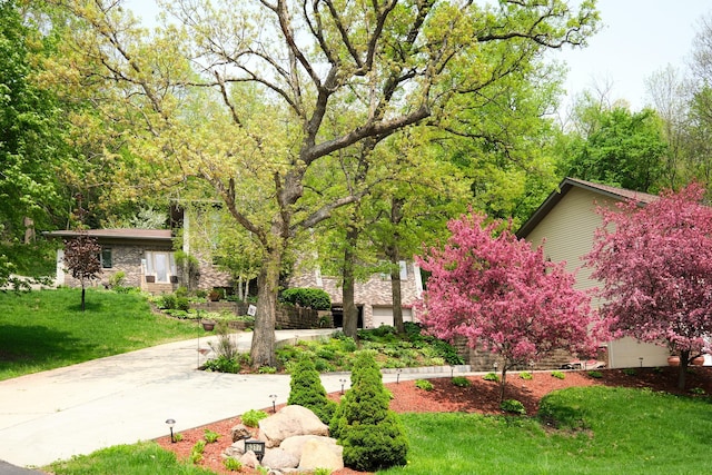 view of home's community featuring a lawn