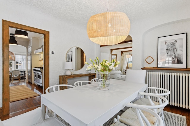 dining room featuring radiator heating unit, dark hardwood / wood-style floors, and a textured ceiling