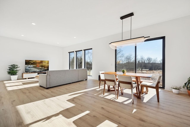 dining area with light hardwood / wood-style floors