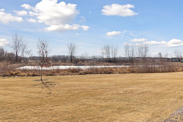 view of yard with a rural view