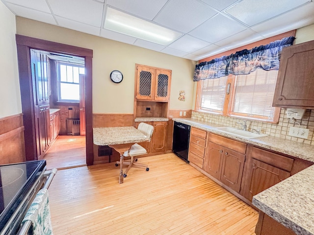 kitchen with dishwasher, sink, light hardwood / wood-style flooring, and stainless steel range with electric stovetop