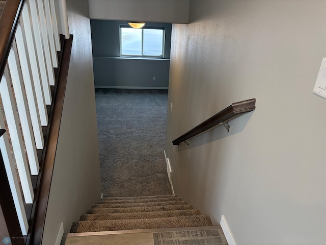 stairway featuring carpet flooring