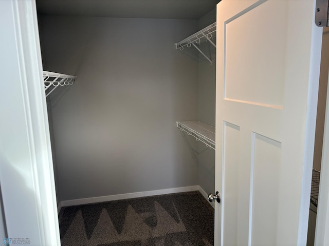 spacious closet featuring carpet