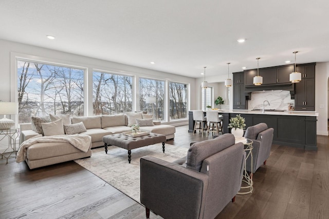 living room with dark hardwood / wood-style floors and sink