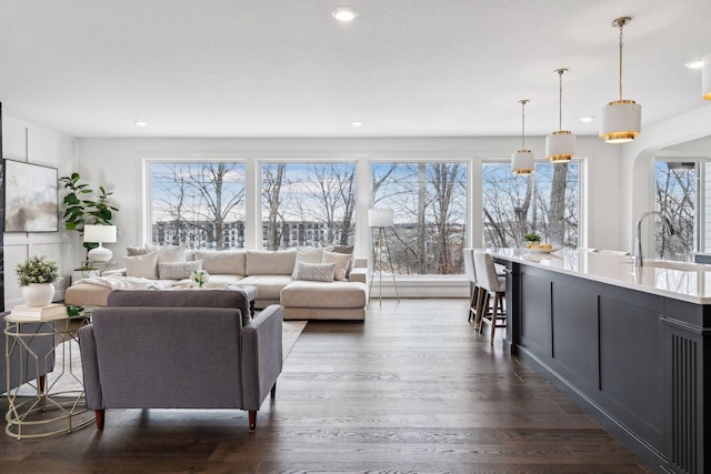 living room featuring sink and dark hardwood / wood-style floors