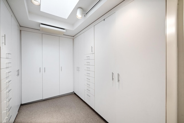 spacious closet featuring a skylight